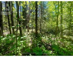 00 Foymount Road, Bonnechere Valley, ON K0J1T0 Photo 19