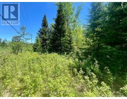 00 Foymount Road, Bonnechere Valley, ON K0J1T0 Photo 21