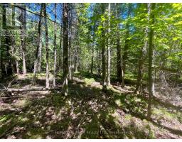 00 Foymount Road, Bonnechere Valley, ON K0J1T0 Photo 12