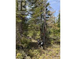 Lot Cl2 Palmer Road, West Wentworth, NS B0M1Z0 Photo 9