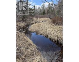 Lot Cl2 Palmer Road, West Wentworth, NS B0M1Z0 Photo 8