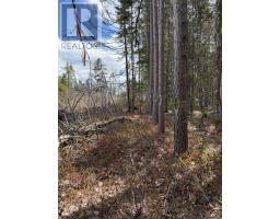 Lot Cl2 Palmer Road, West Wentworth, NS B0M1Z0 Photo 11