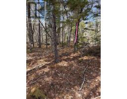 Lot Cl1 Palmer Road, West Wentworth, NS B0M1Z0 Photo 9