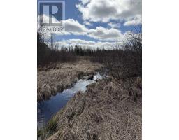 Lot Cl3 Palmer Road, West Wentworth, NS B0M1Z0 Photo 11