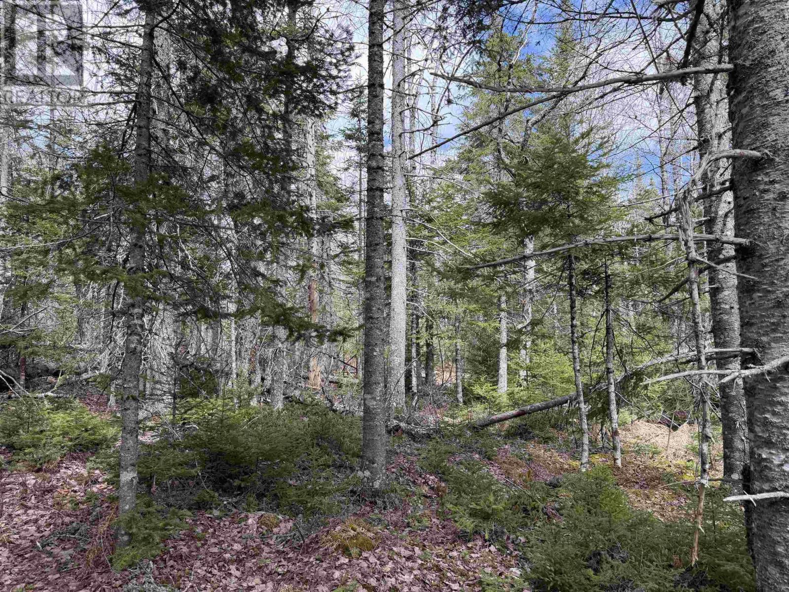 Property 7 of 11 of Lot CL3 Palmer Road