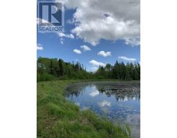 Lot Cl4 Palmer Road, West Wentworth, NS B0M1Z0 Photo 8
