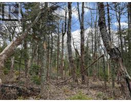Lot Cl3 Palmer Road, West Wentworth, NS B0M1Z0 Photo 10