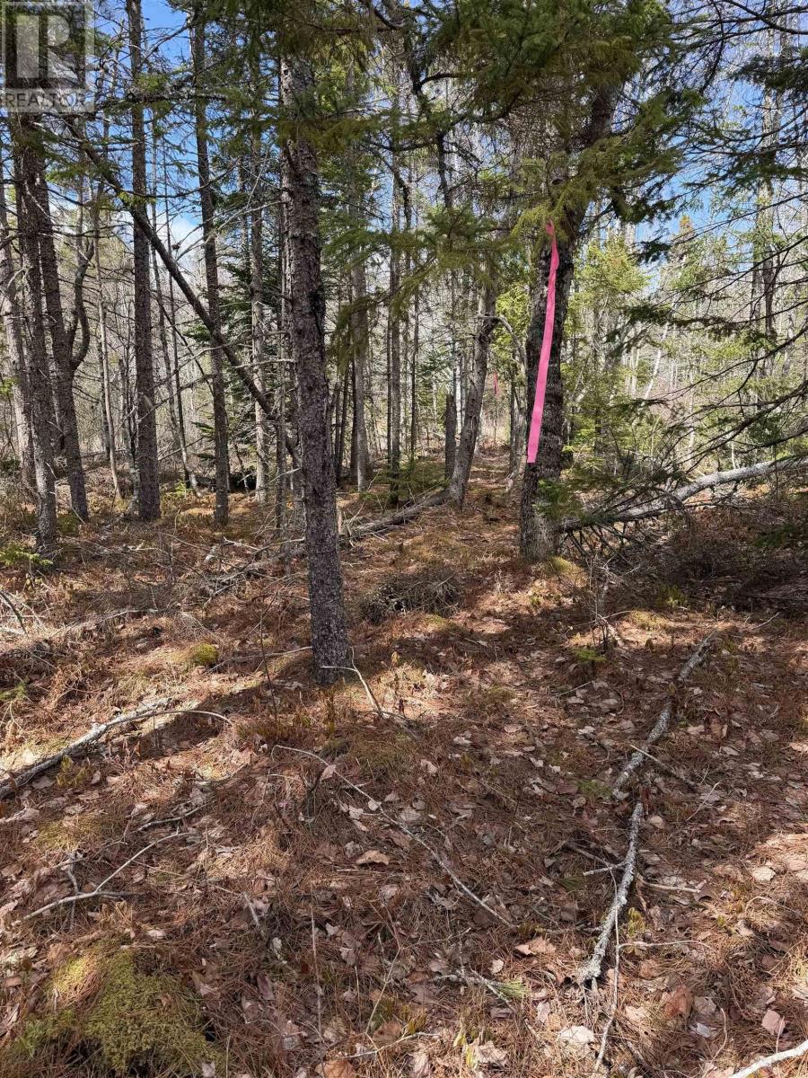 Property 7 of 12 of Lot CL4 Palmer Road
