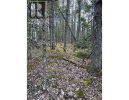 Lot Cl5 Palmer Road, West Wentworth, NS B0M1Z0 Photo 9