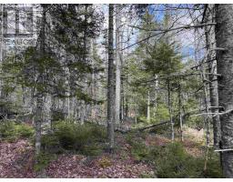 Lot Cl5 Palmer Road, West Wentworth, NS B0M1Z0 Photo 11
