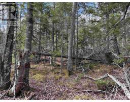 Lot Cl5 Palmer Road, West Wentworth, NS B0M1Z0 Photo 8
