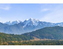 237 Balsam Avenue, Harrison Hot Springs, Harrison Hot Springs, BC V0M1K0 Photo 32