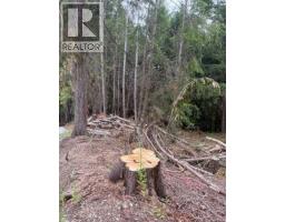 2602 Gunwhale Rd, Pender Island, BC V0N2M2 Photo 6