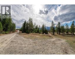 8850 Grainger Road, Canal Flats, BC V0B1B0 Photo 9