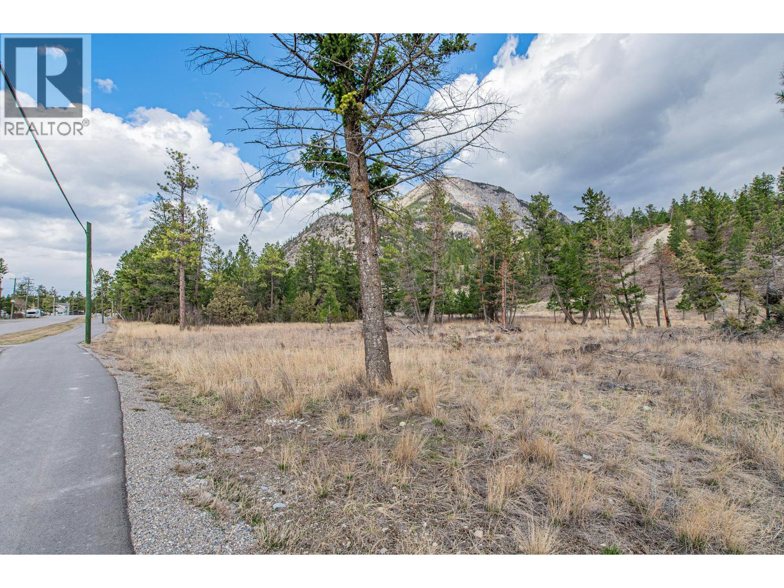  8850 GRAINGER Road, Canal Flats - Image 1