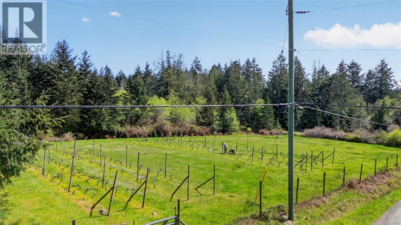 1160 Cappon Lane - 38