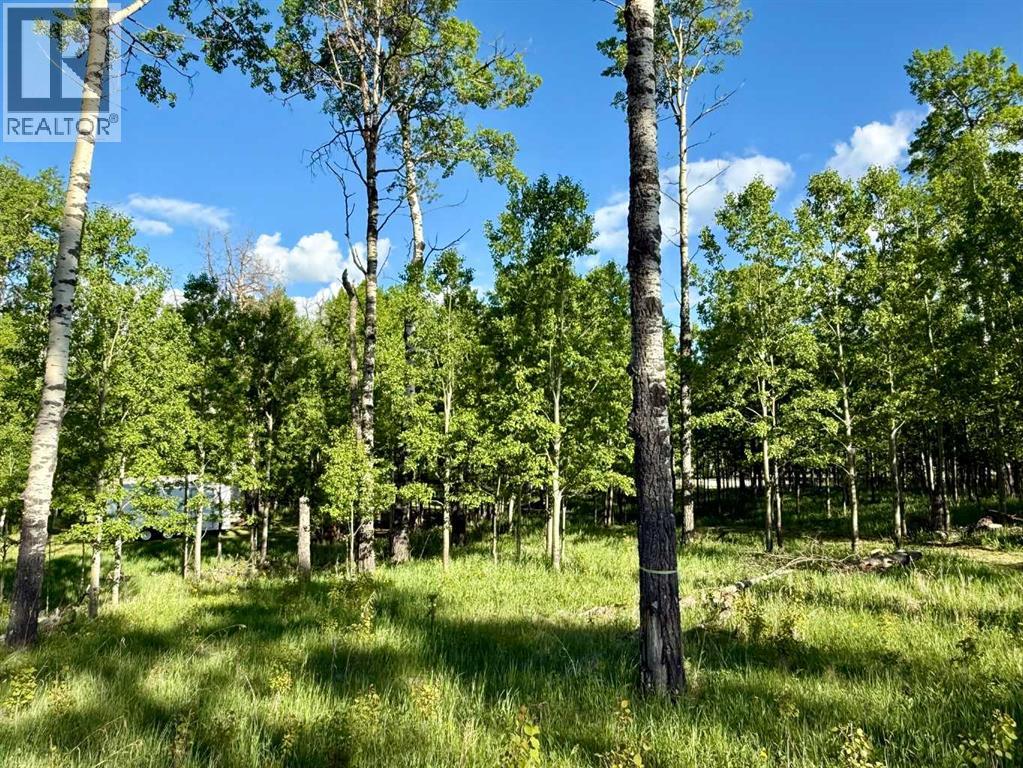 3, 5228 Highway 579 — photo 11