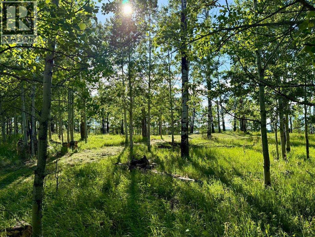 3, 5228 Highway 579 — photo 8