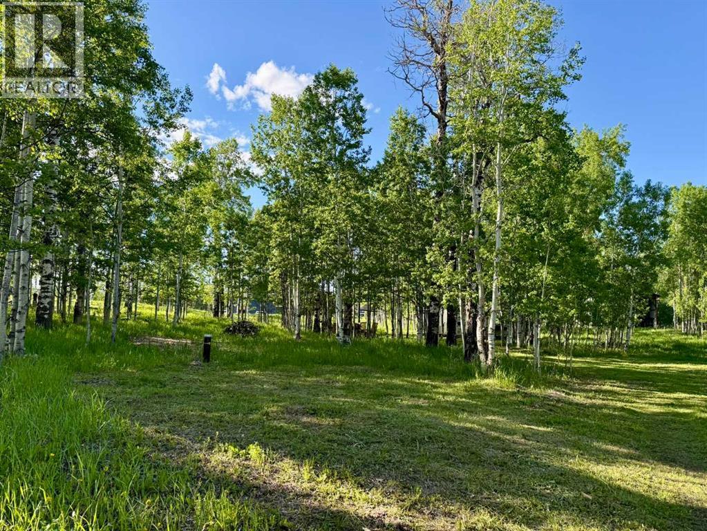 3, 5228 Highway 579 - photo 4