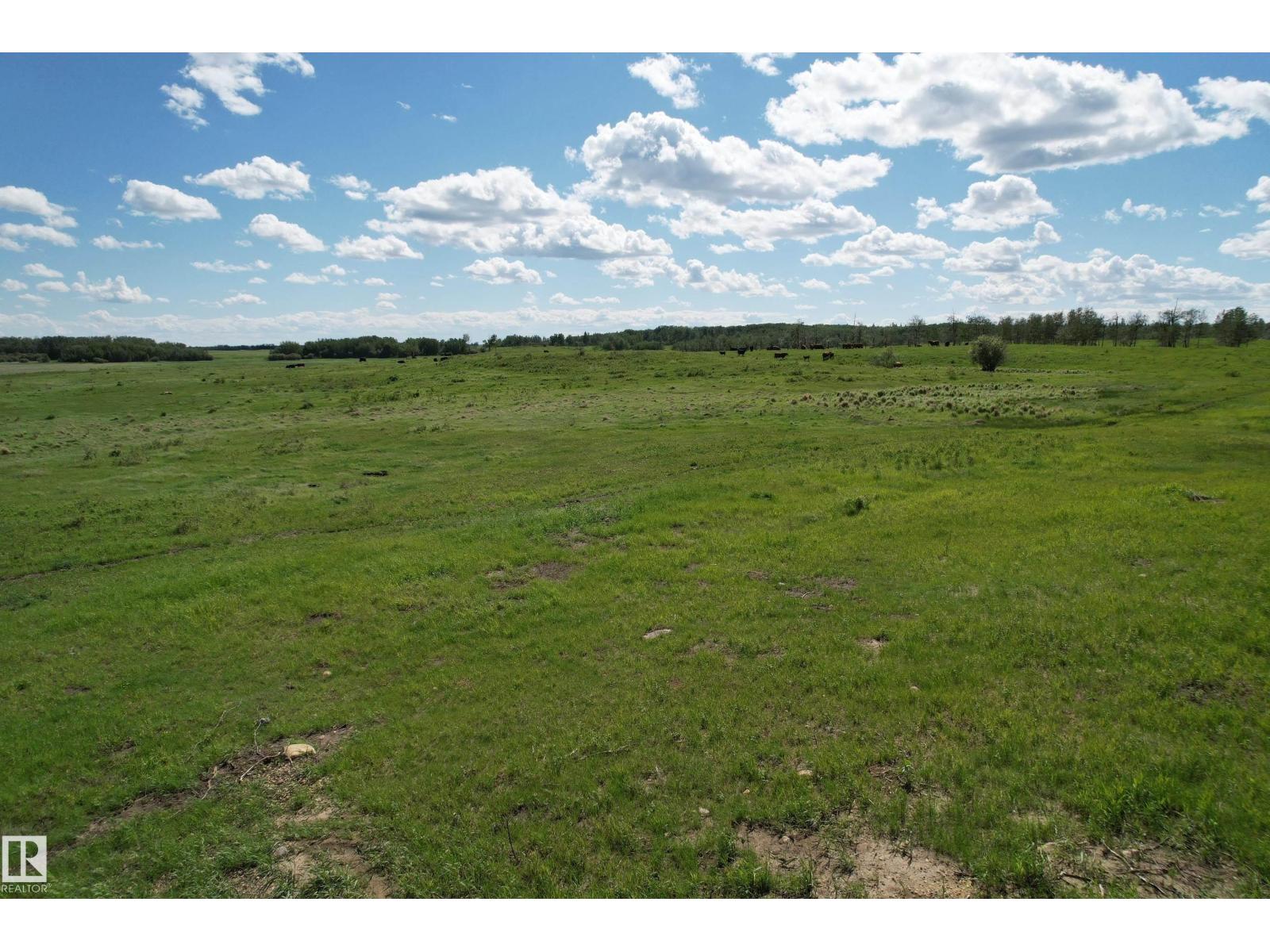 RR 215 & Twp Rd 520 — photo 15