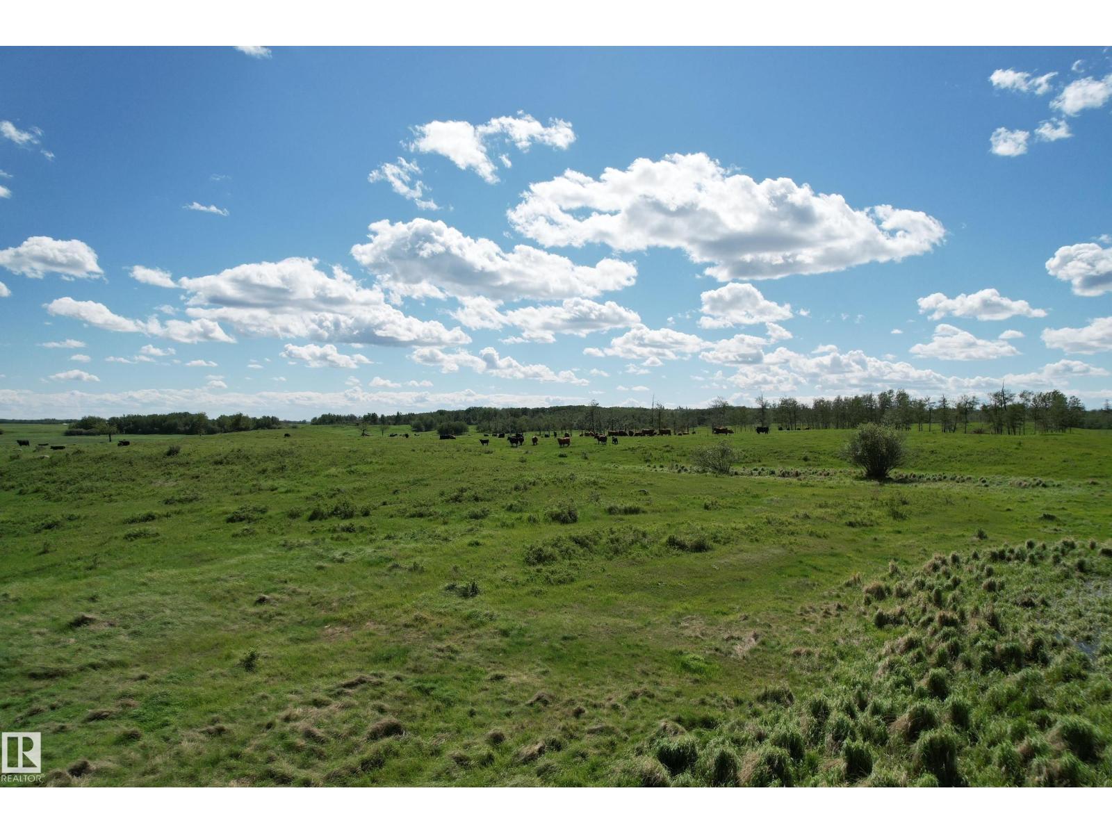RR 215 & Twp Rd 520 — photo 17