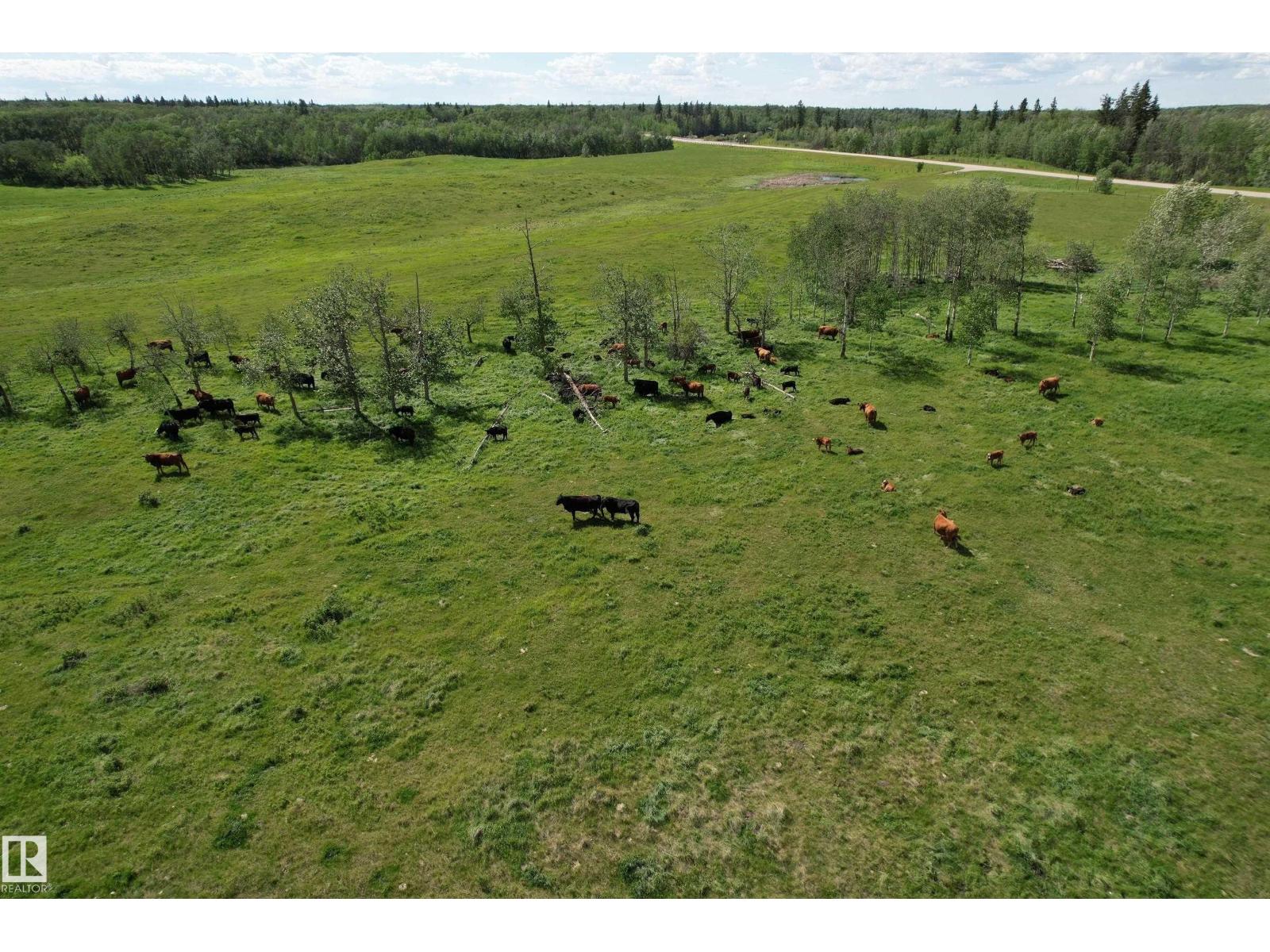 RR 215 & Twp Rd 520 — photo 19