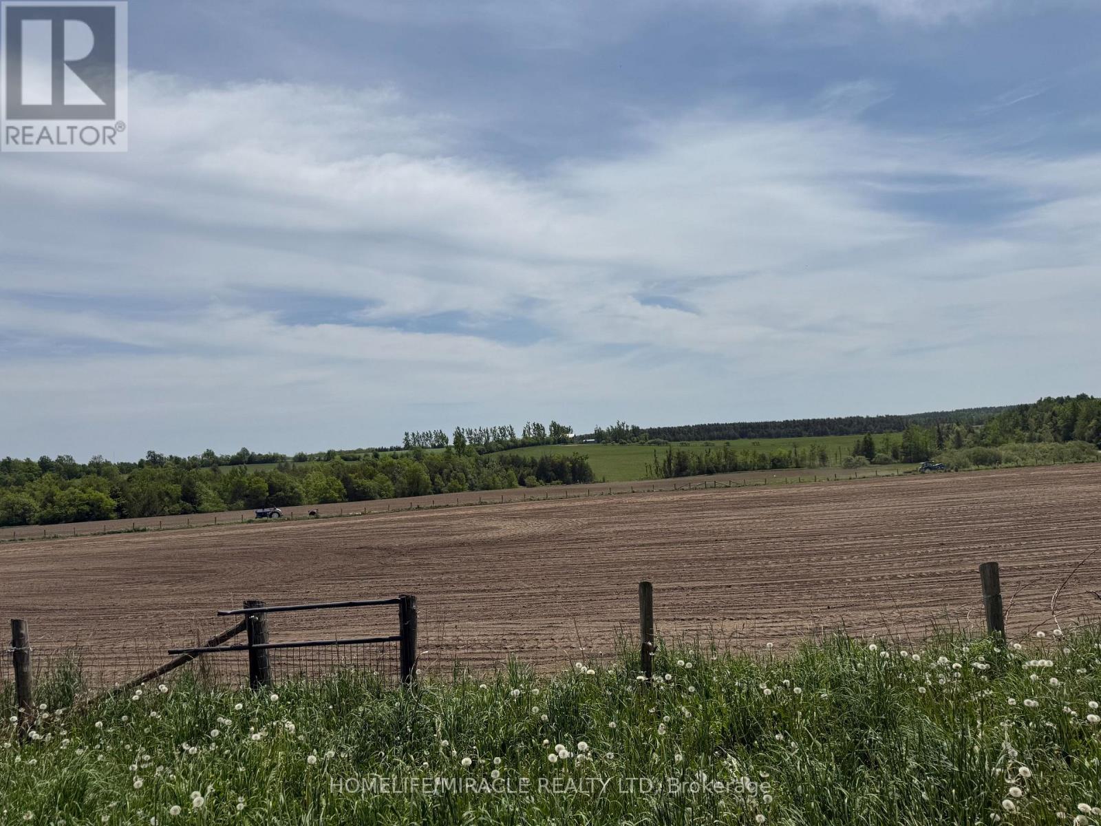 556389 MULMUR MELANCTHON TOWNLINE - 42