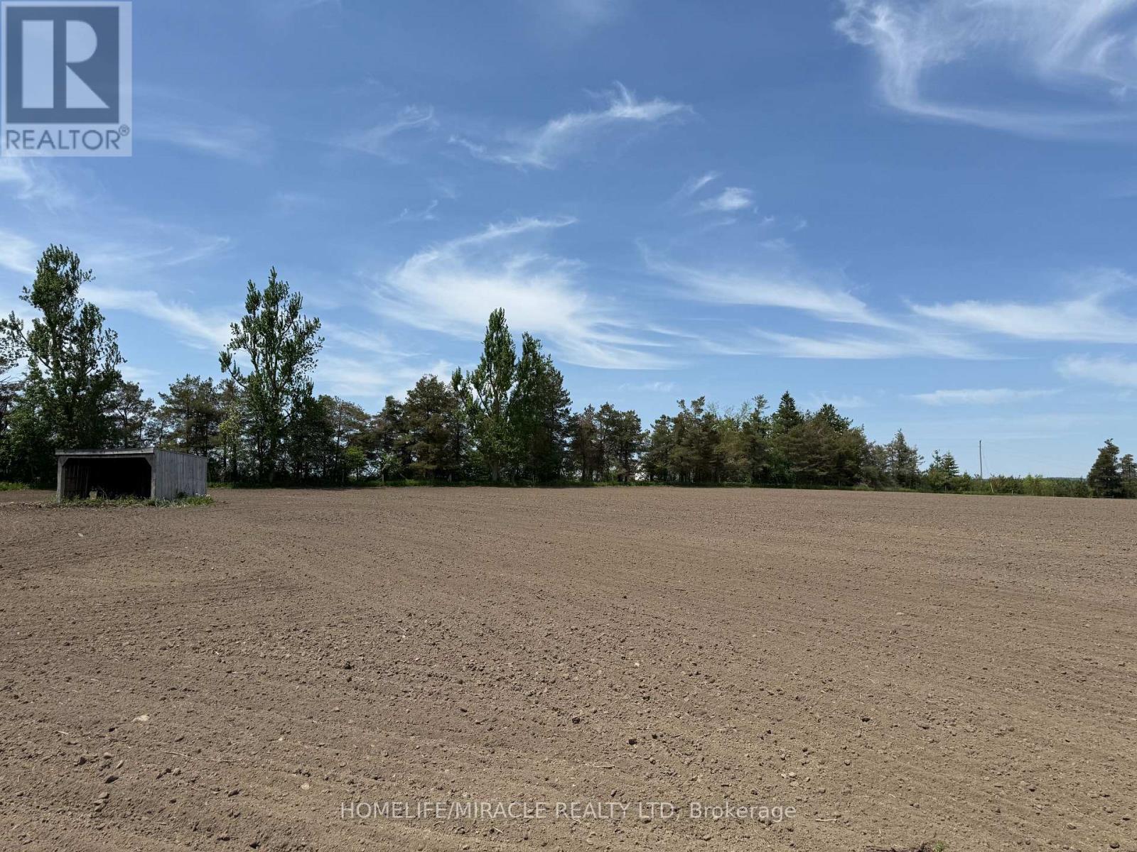 556389 MULMUR MELANCTHON TOWNLINE - 43