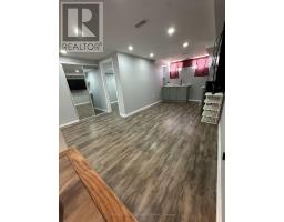 Bsmt - 233 Powell Street, Brantford, ON N3T0J3 Photo 6