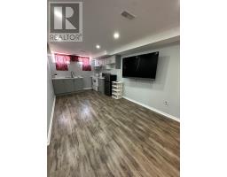 Bsmt - 233 Powell Street, Brantford, ON N3T0J3 Photo 8
