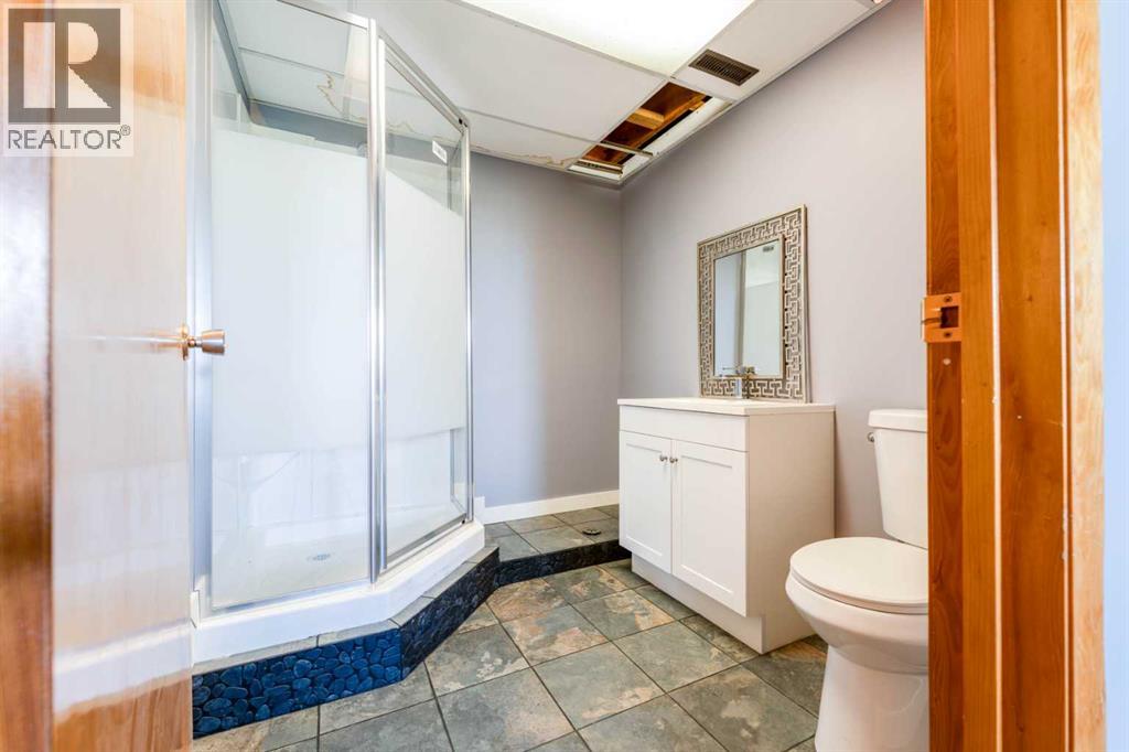 newly renovated bathroom in the basement