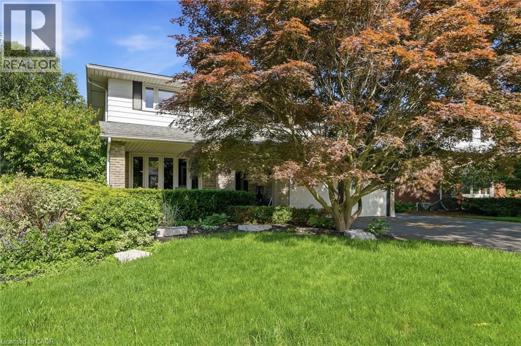 44 SAN PAULO Drive - 1