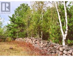 144 Trebinski Road, Madawaska Valley, ON K0J1B0 Photo 31