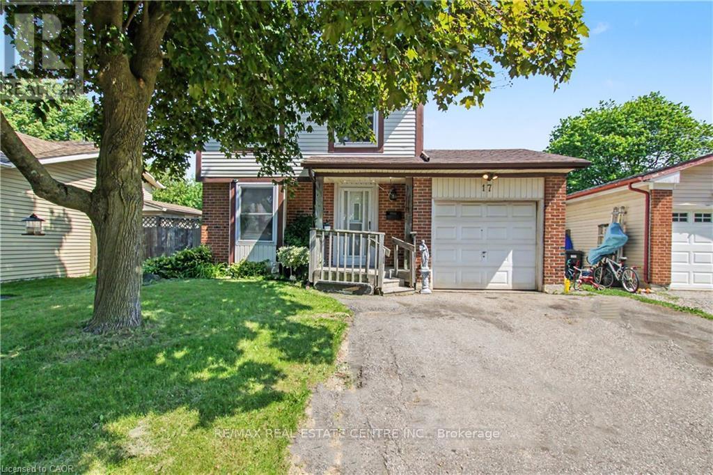 17 HALLMARK STREET - 1