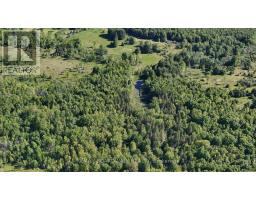 2955 Torwood Drive, Ottawa, ON K0A1T0 Photo 11