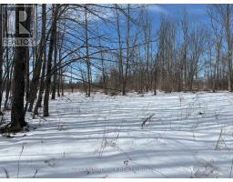 2955 Torwood Drive, Ottawa, ON K0A1T0 Photo 38