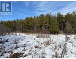 2955 Torwood Drive, Ottawa, ON K0A1T0 Photo 43