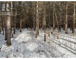 2955 Torwood Drive, Ottawa, ON K0A1T0 Photo 45