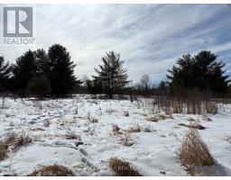 2955 Torwood Drive, Ottawa, ON K0A1T0 Photo 44