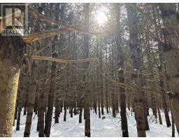 2955 Torwood Drive, Ottawa, ON K0A1T0 Photo 48