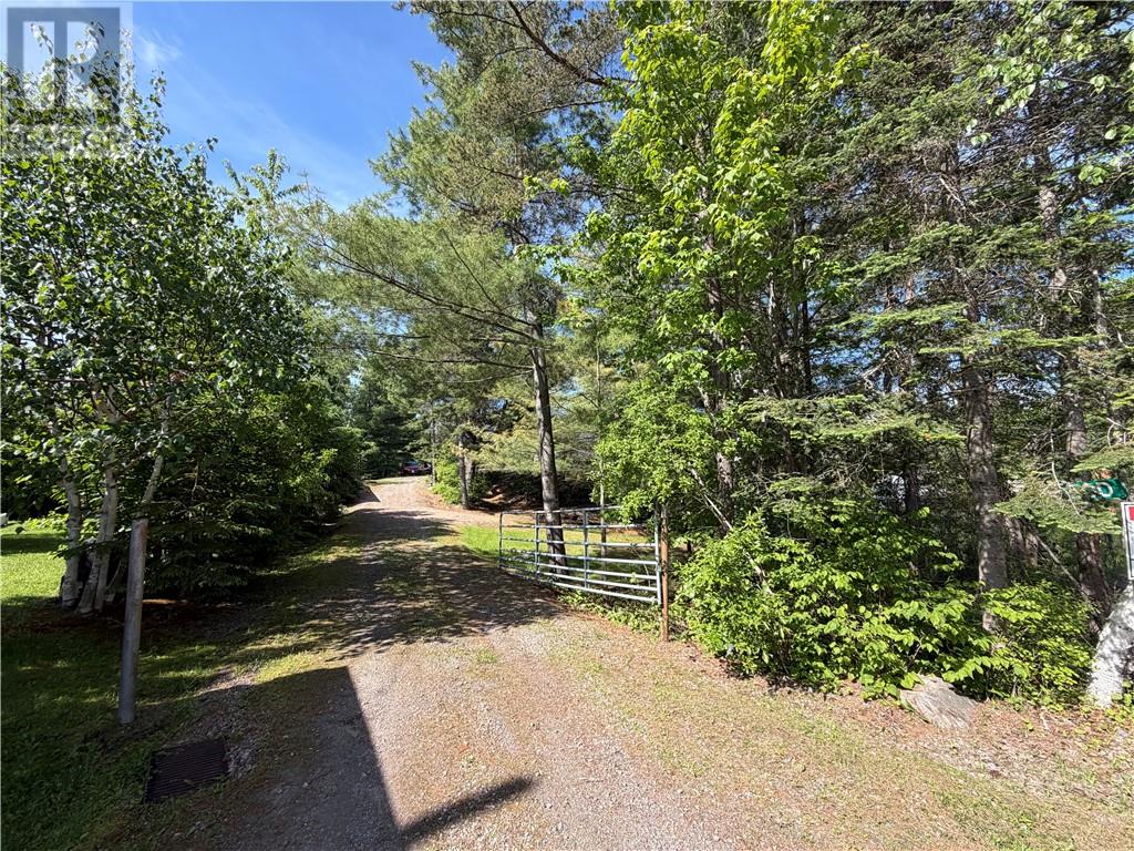 50 D Island Road West - 52