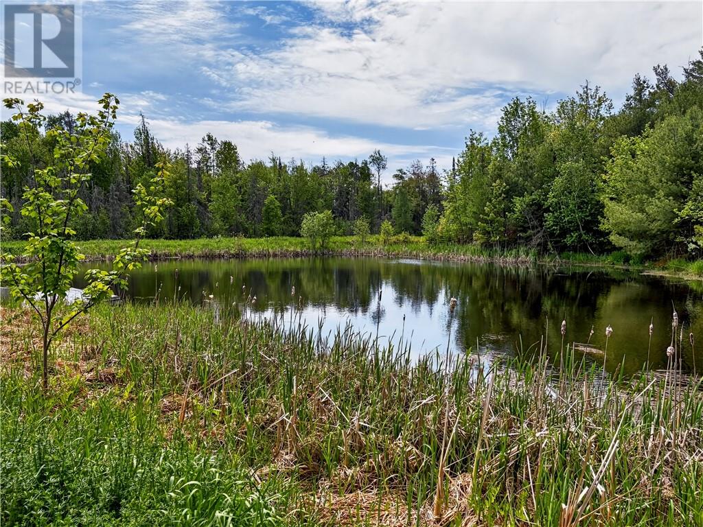 151 Graham Road - 64