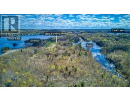 22987 Highway 7 Highway, Frontenac, ON K0H2B0 Photo 11