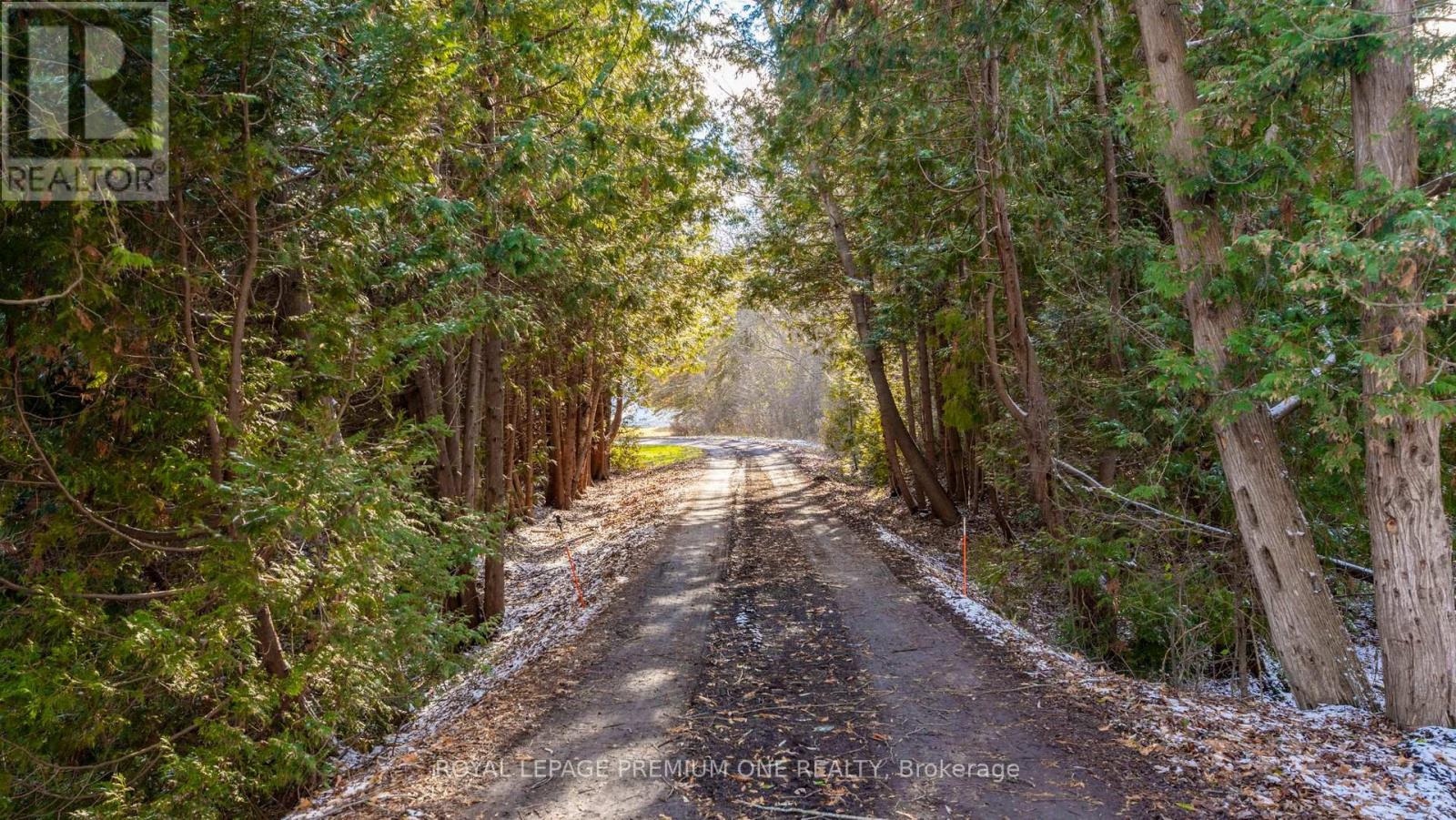 7590 19TH SIDE ROAD - 50