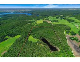 Family room - 10 Ch. Des Outaouais, L Ile Du Grand Calumet, QC J0X1J0 Photo 16