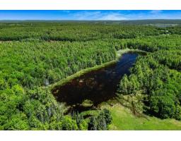 10 Ch. Des Outaouais, L Ile Du Grand Calumet, QC J0X1J0 Photo 35