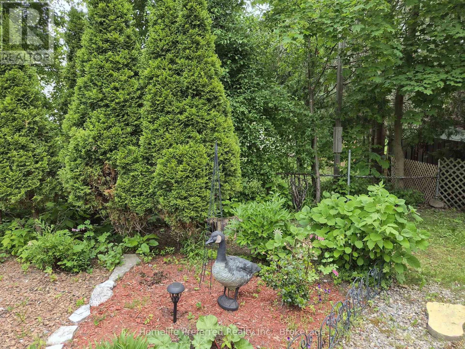 893 CUMBERLAND AVENUE - 47