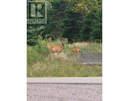 1000 Lake Road, Smithfield, NS B0H1E0 Photo 19