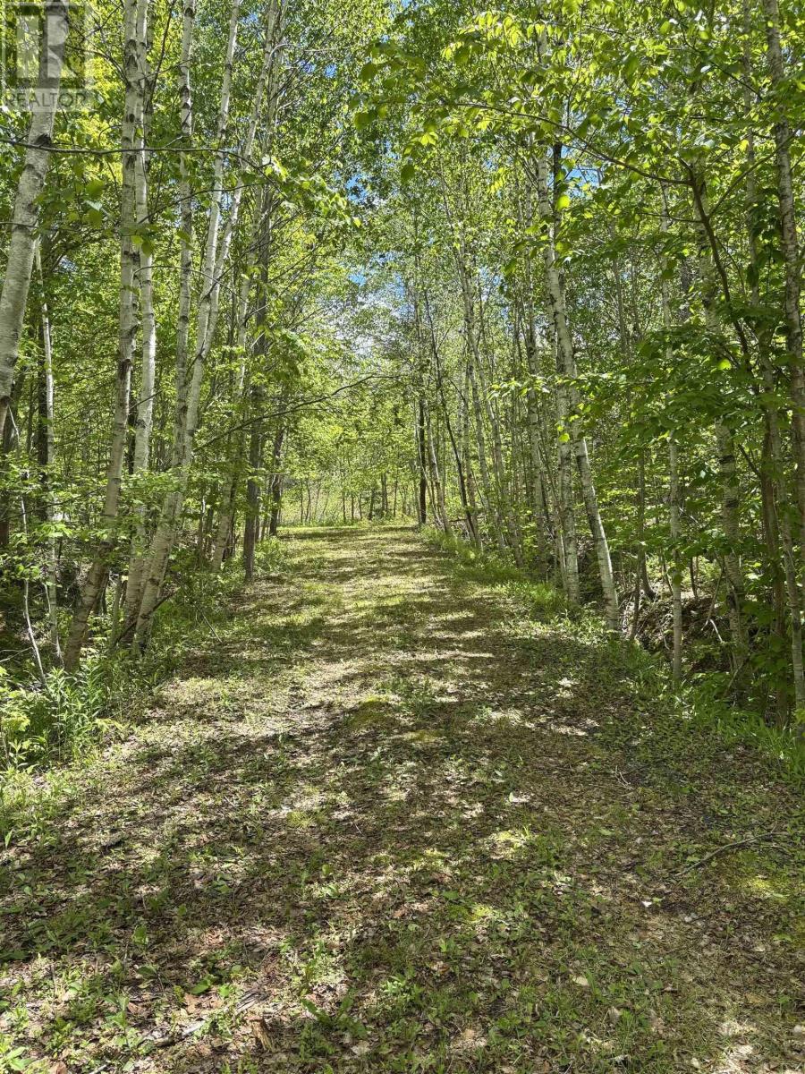 Property 3 of 15 of 2334 Highway 14 Windsor Road