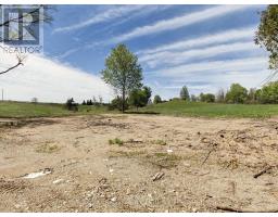 10054 Highway 9, Adjala Tosorontio, ON L0G1L0 Photo 10